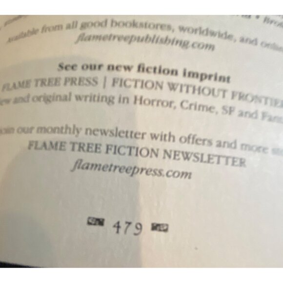 Gothic Fantasy Detective Thrillers Short Stories Hardback Flame Tree Pub.2021 - Picture 4 of 4